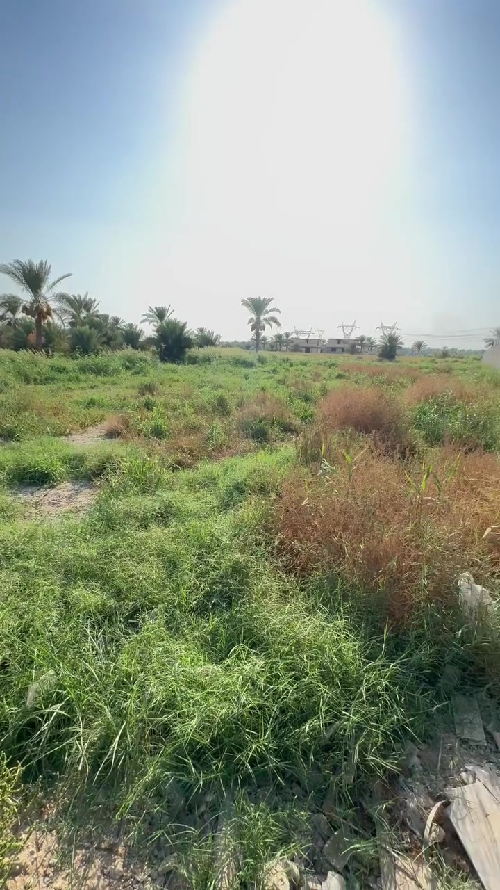 السلام عليكم قطعه ارض للبيع مساحه 2000 متر  زراعي ١١٧ مشمول بل تطويب
الاستفسار 
*********** 
صاحب الارض
