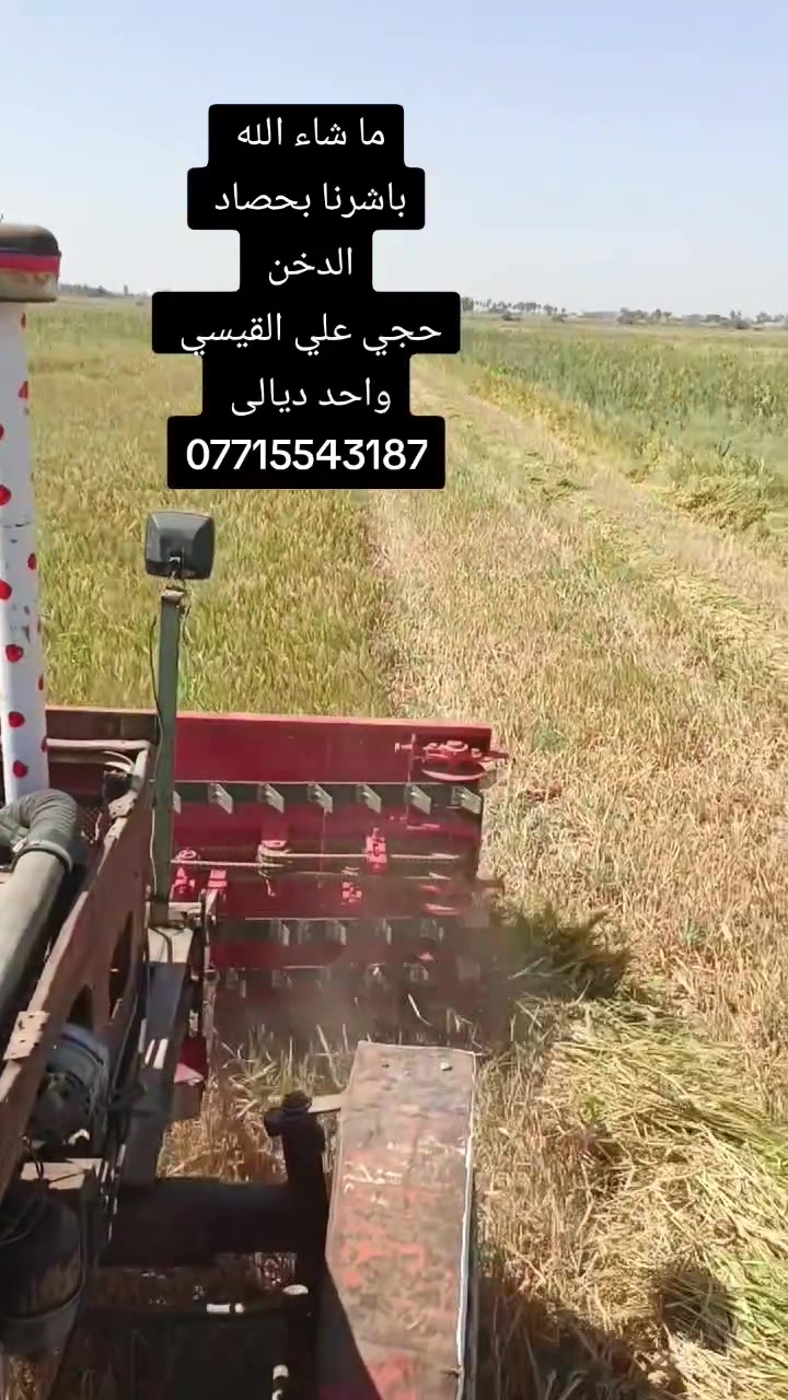 للبيع حاصودة سمسم رقم وسنويه رقم ديالى جاهزه للشغل السعر 12 وبيها مجال للاستفسار ***********
(((صفر بعدها مامشتغلة)))
للبيع حاصودة سمسم رقم وسنويه رقم ديالى جاهزه للشغل السعر 12 وبيها مجال للاستفسار ***********
