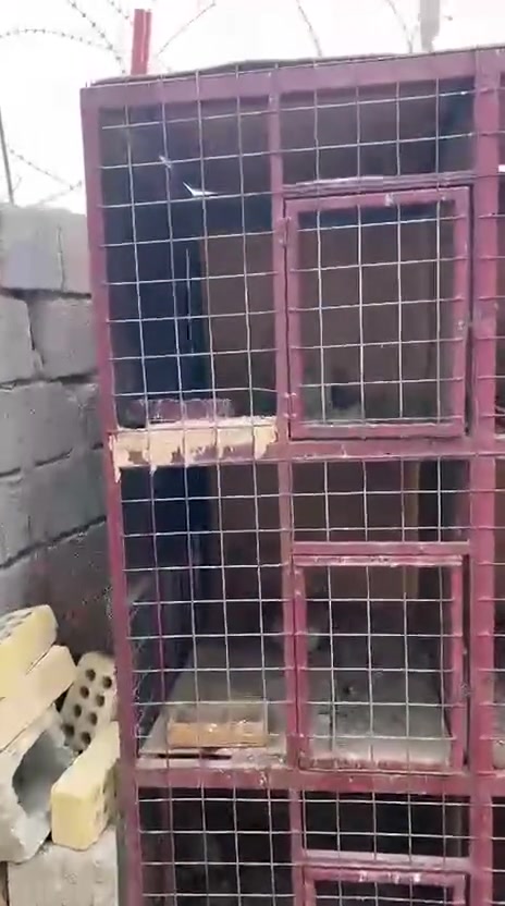 قفص • ١٢خانة • ٢م٦٠