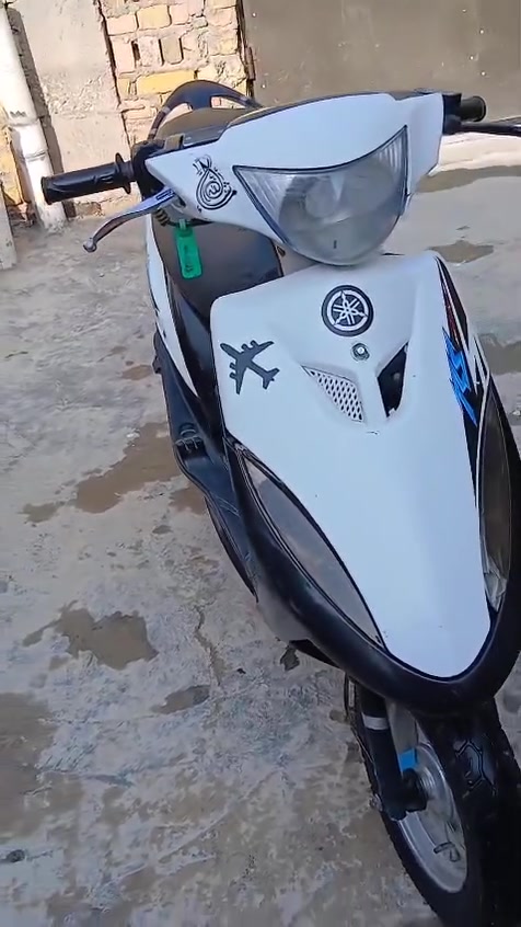 ماكس عدلة • نظيفة • بدون اوراق