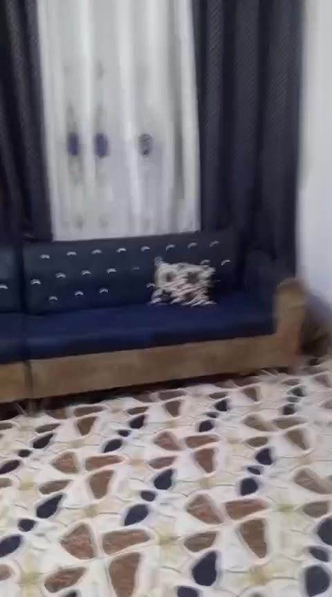 ***********
