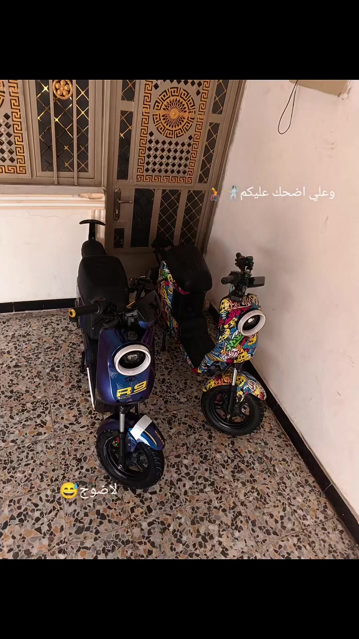 دراجة شحن • آر ٩ • موديل ٢٠٢٦