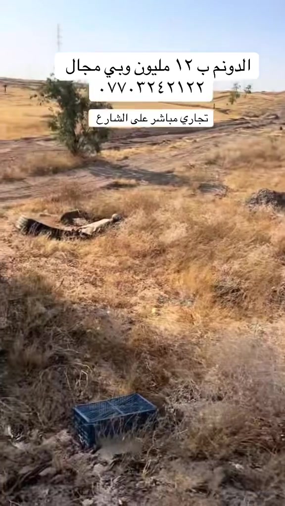 أرض زراعية • على الشارع • ١
