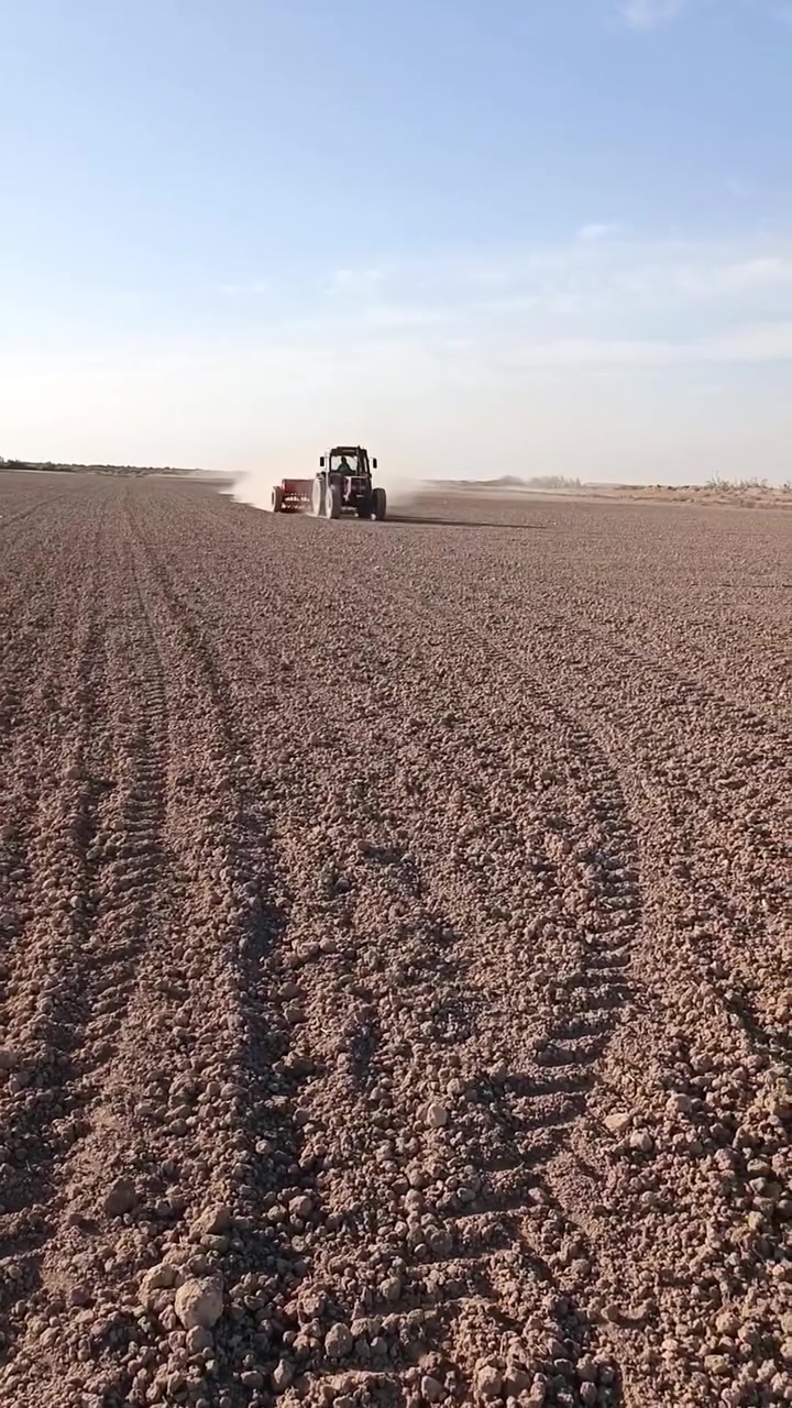 شتال • بالخدمة