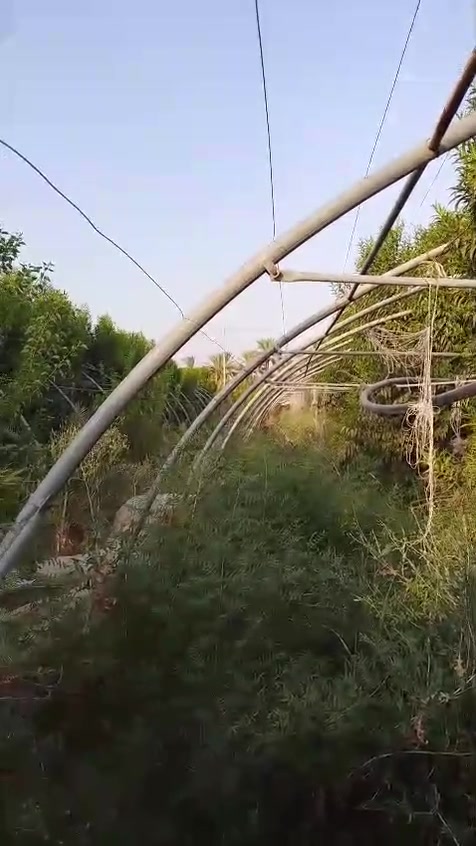 السلام عليكم ورحمه الله وبركاته
من رخصت الادمنية عندي بيوت زجاجية للبيع كما موظح بل صورة العنوان بغداد الراشدية 
الرقم التواصل***********
