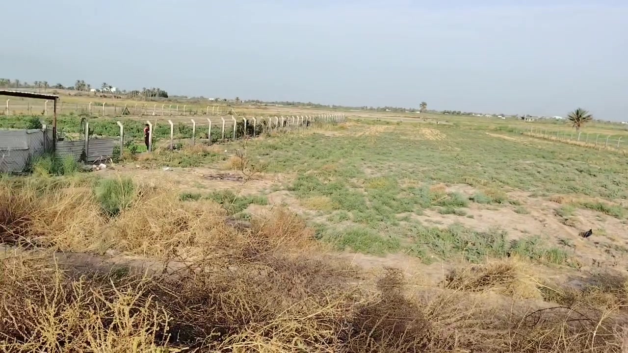 الجفجافه • ٥٠٠٠م • خدمات كاملة