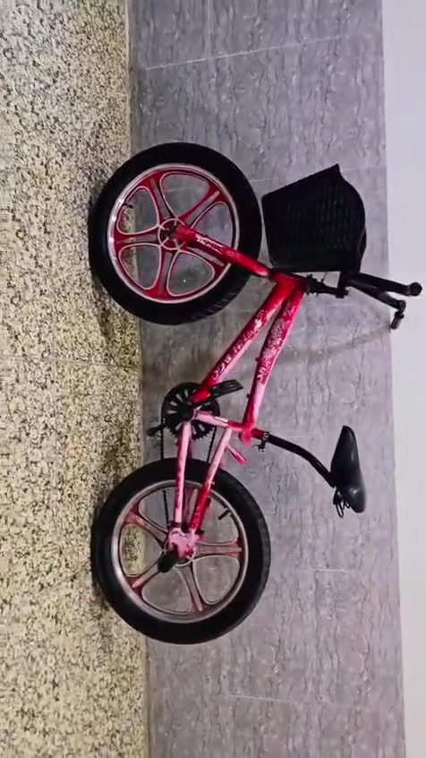 متاح
بيسكل BMX  (بي أم اكس) البريك بالبايدر للخلف السعر (40) الف بي مجال / بغداد العبيدي
هـ  ***********
لايوجد توصيل
