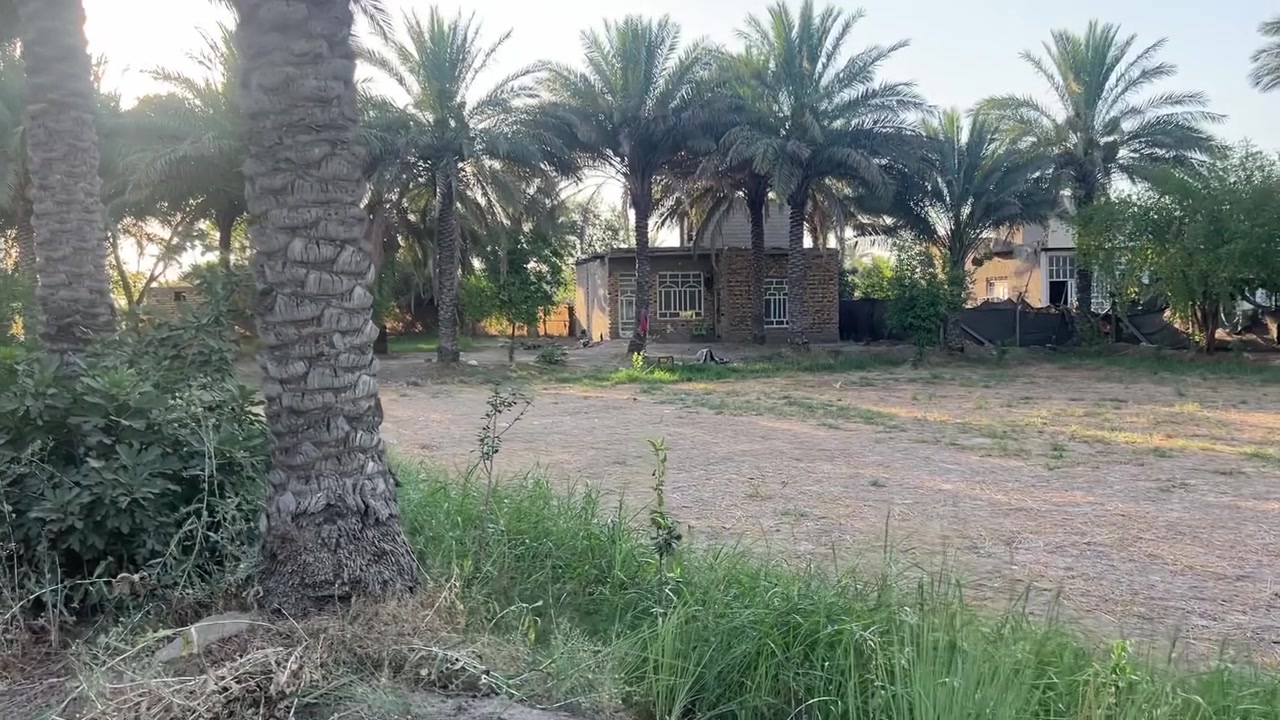 سلام عليكم مزرعه للبيع مساحته 
       3000متر طابو زراعي سند 25
ابسمه شخص واحد موجوده كافت خدمات من ماء سقي وماء ساله 
كهرباء وخط مولد بلباب 
تصلح مزرعه او استثمار او سكن

العنوان حله شارع 100تبعد عن شارع العام 200متر 
       خلف معمل صب حجي رباع
شارع تبليط 
ابسعر امناسب وبيع مستعجل الظروف خاصة 
لاستفسار اكثىر او 
                        مراجعت مكتب 
       بهاء الجشعمي اللعقار العنوان حله 
شارع 100قرب جسر المشاه او الاتصال على الرقم التالي 
***********

