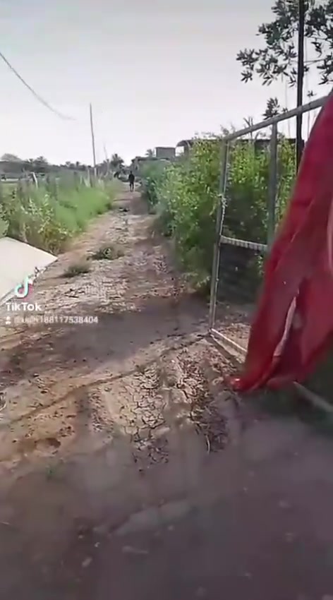 دونم من ضمنه بيت للبيع الجسر الفرنسي منطقه العوادل لمعرفه السعر الاتصال ‏‪***********‬‏
