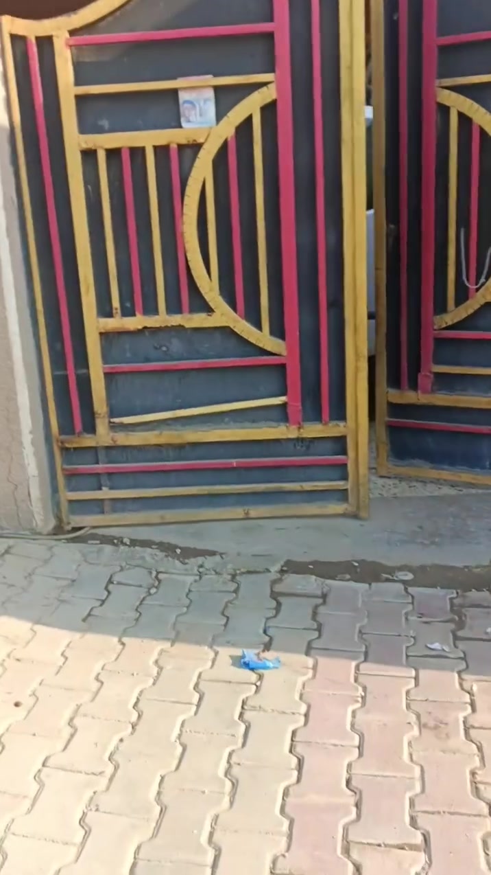 السلام عليكم بيت بالحميديه بدايه شارع القريه ع الشارع العام قريب ع المدارس المساحه 230 متر بيت كامل بي غرفتين وصاله واستقبال ومطبخ وترك خلف البيت مساحته 30متر. 
***********
***********
