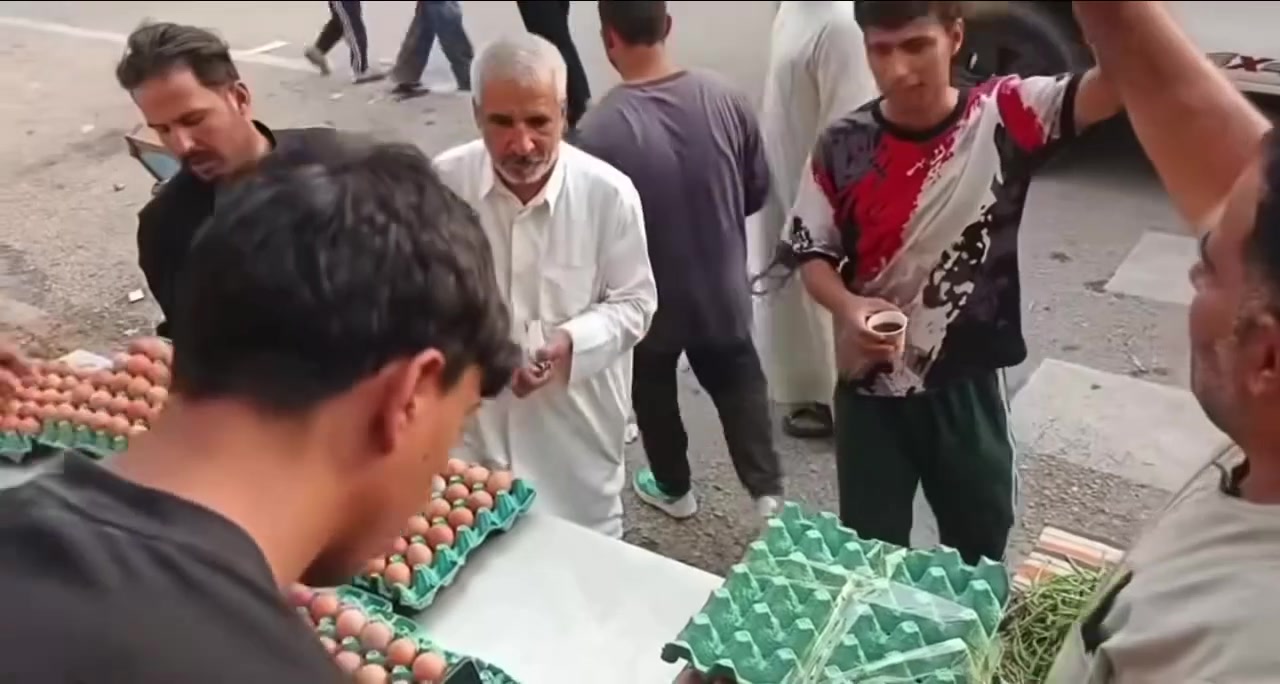 عاجل • عرض المزيد • شاهد