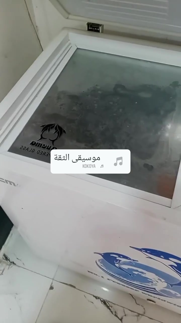 ثلاجة مجمّدة • نظيفه • كربلاء الشبانات