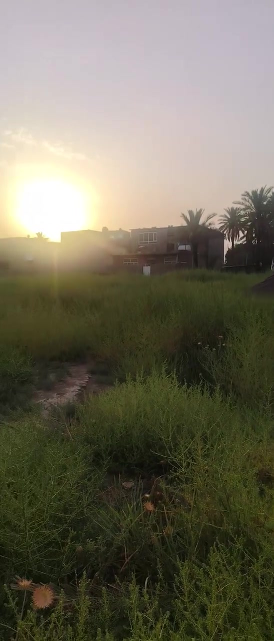 قطعه ارض للبيع ٣٠٠ متر واجهة 9  نزل 31 شارع أبو طاوة *********** سعر ٩٣
