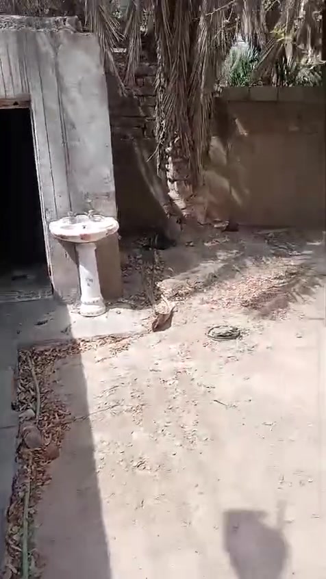 بيت للايجار بالقبله بحي الجامعه قرب الوكيل ابو يسر بيه غرفتين نوم وهول داخلي وديوانيه ومطبخ وصحيات وكراج وتانكي وكيزر اجاره ب450 اي استفسار على هذا الرقم ***********
