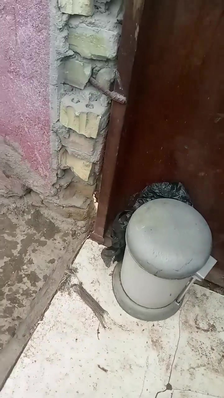 بغداد • شعلة الدوانم • ١٠٠م