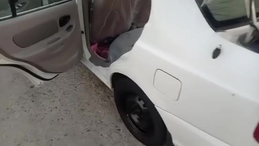 فيرنا • ٢٠٠٩ • رقم نجف