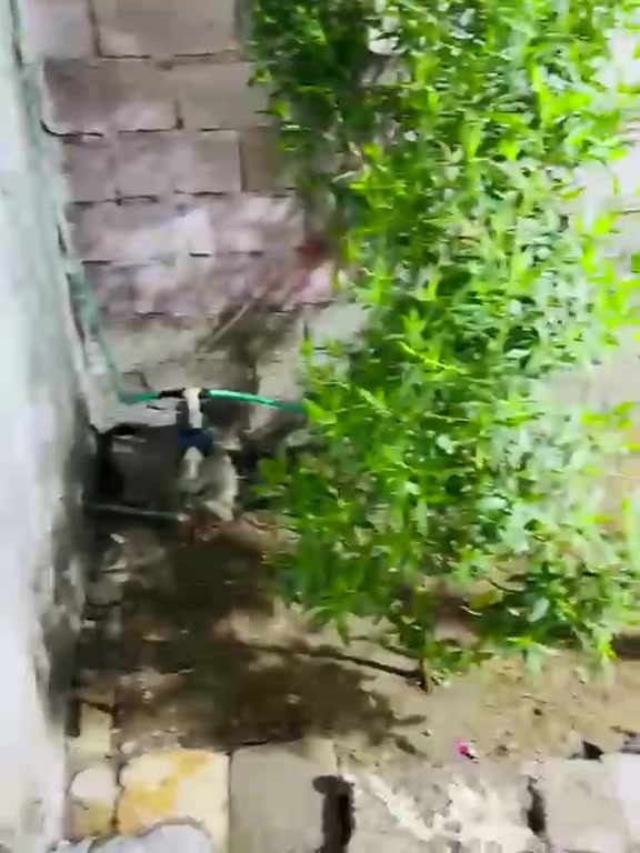 بيت البيع حي الأصدقاء قرب جامع العباس ماعليه أزاله البشاري يجي ويسئل شكد مايريد مرتب على شارع تبليط الجيران ناس طيبين جدا 
يحتوي على 
صاله 
صاله ثانيه مشترك مع مطبخ 
دوانيه أو غرفه ثانيه تصير طارمه حديقه زغيره البيت كله سقف ثانوي وكاشي وسندويچ مساحه ١٠٠متر سبب البيع بناء شراء بيت واسع ***********
سعر  (11/ مليون
