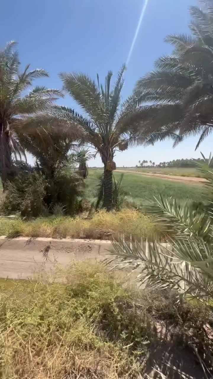 أكبر: فرصة استثمارية 12 دونم للبيع
     🌿 طابو زراعي سند 25تحويل مباشر باسمك🌿
تكدر تقسمها دوانم واجهت الأرض 200 م على شارع !
مميزات المزرعة:
 الملكيه: طابو زراعي (سند 25) - تحويل مباشر ورسمي باسم المشتري.

 الخدمات والبنية التحتية: الأرض مخدومة بالكامل بجميع الأساسيات.

📍 موقع الأرض مجاور سيطرة ام الهوى منطقة الرغيله

للاستفسار اكثر زورونا في
📍 الموقع: كربلاء – الهندية – أم الهوى الجديدة (الشارع العام قرب أسواق الكفيل سابقاً).
📞 للتواصل والاستفسار المباشر:
 ***********
 ***********
🏢 مكتب مدى المستقبل للعقارات – ثقة وخبرة بخدمتكم دائماً.
