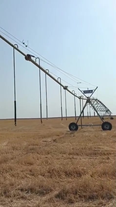 مرشه برجين خريف فرات نظافة فول وبسعر مناسب ***********مكان التاجي النباعي
