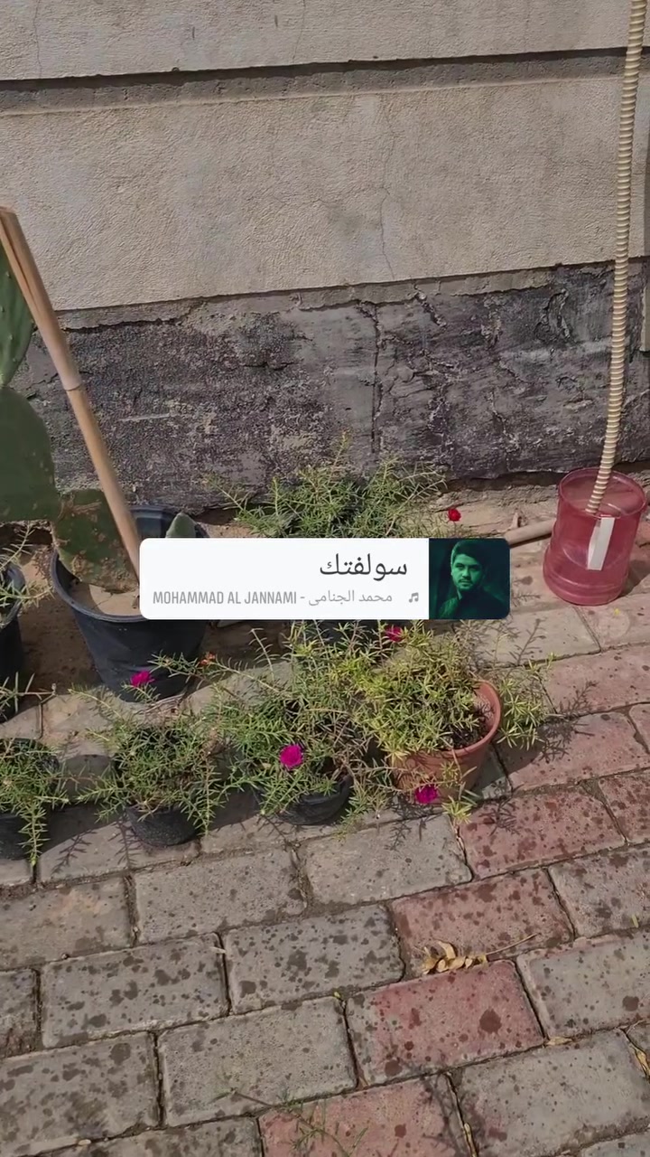 ورد الصباح • تزهير اليوم • كربلاء