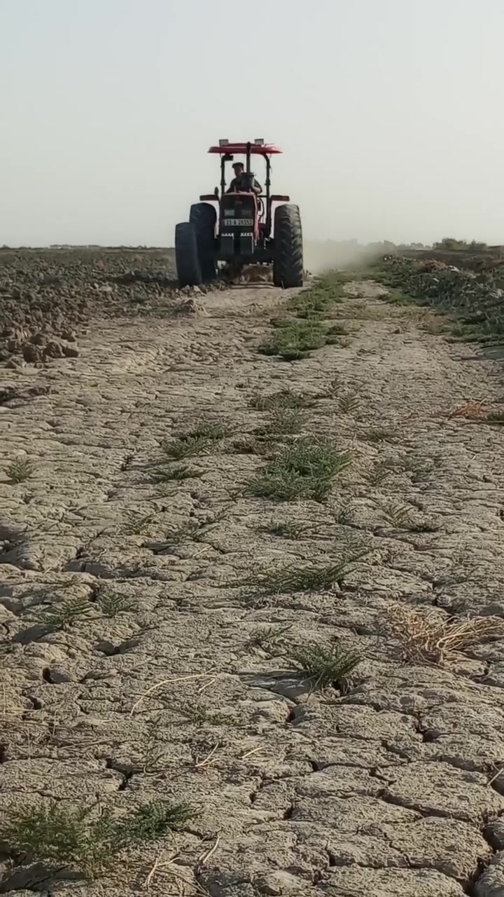 مكينة ٣٩٩ • فوركسن • ٢٠٢٤