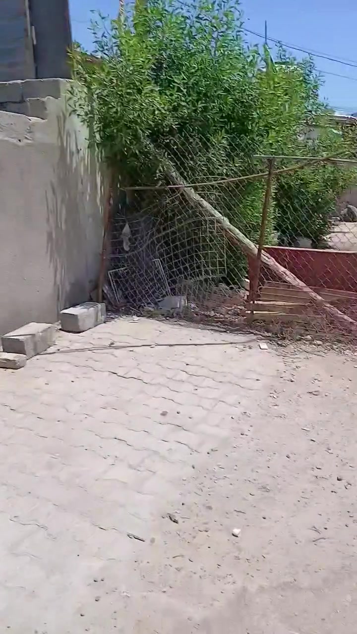 بيت • بجكوك • قمر بني هاشم