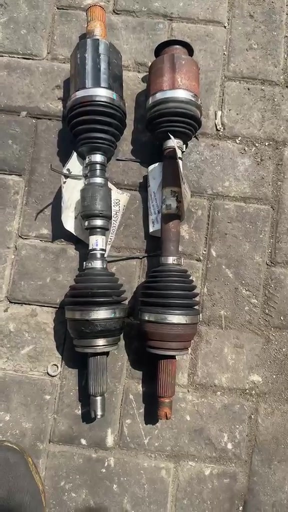 جماعة النيرو
