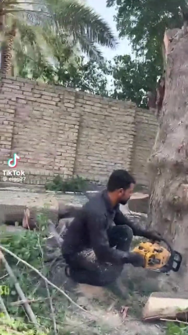 يوجد ماطور قص الاشجار كافه لتواصل ***********
