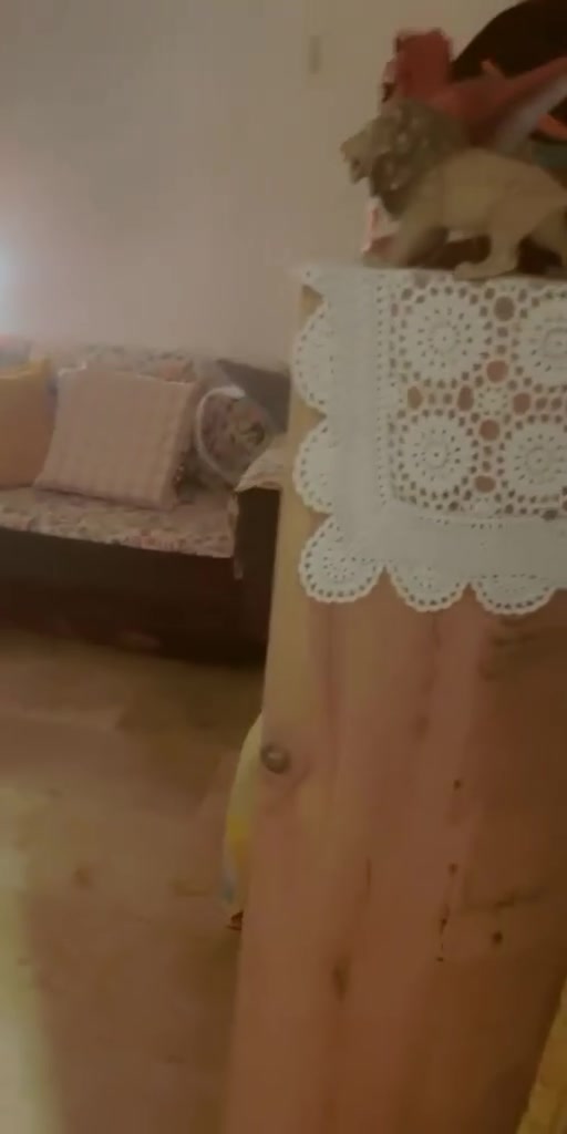 الرساله الثالثه • ٥٤م • طابو