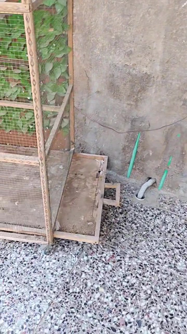 سلام عليكم محميه للبيع تفصال وجديده ومتعوب عليه شمعه بيه طول 175 والعرض 170 ونزال 80 كل لي شفته بل فيديو وياه كامله ما بيه اي نقص ***********
سعر 75 وبيه مجال
