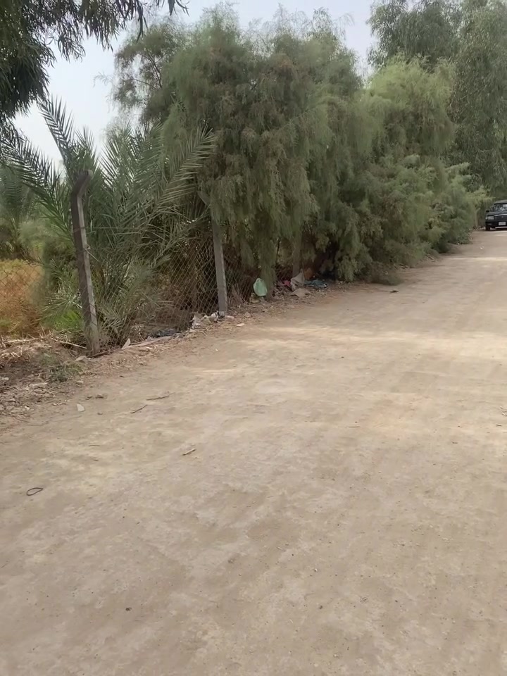 قطع زراعية • سند ٢٥ • ديوانية