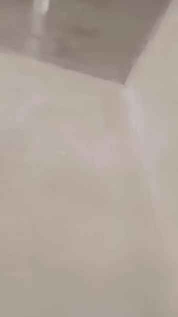 الديوانية • جص • اسمنت