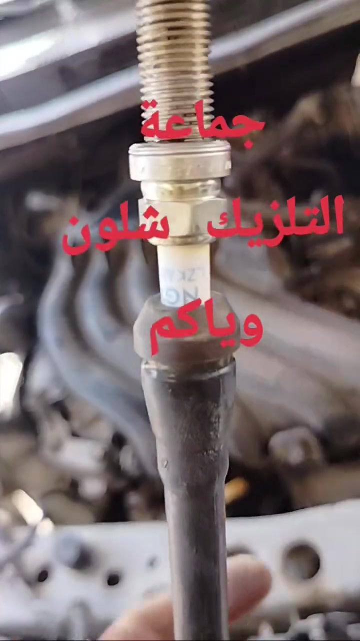 لحد يشد بلكات NGK  للنيسان سني بلك الاصلي شامبيون ليزري
حسن نيسان
بغداد / سبع ابكار / الشارع العام
***********
