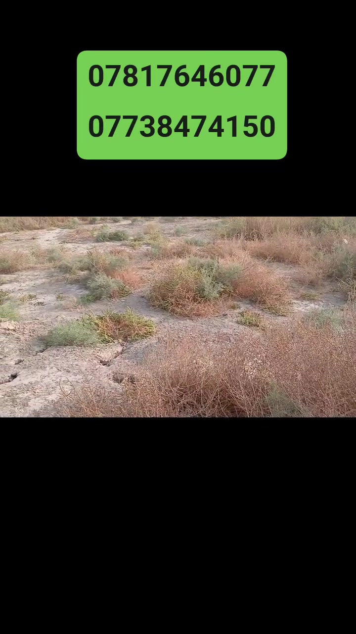 ٤٠٠م • طابو زراعي • قرب المزار العلوية
