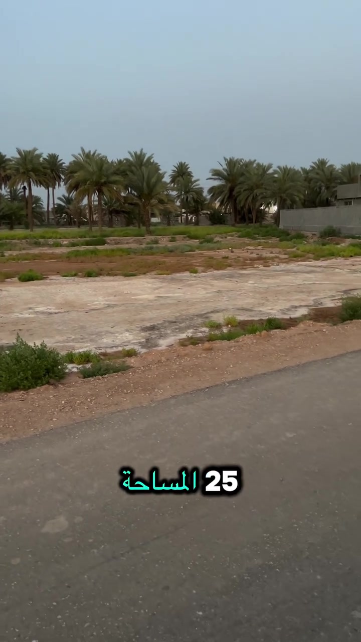 طابو زراعي • ٢١٤م • حله الورديه