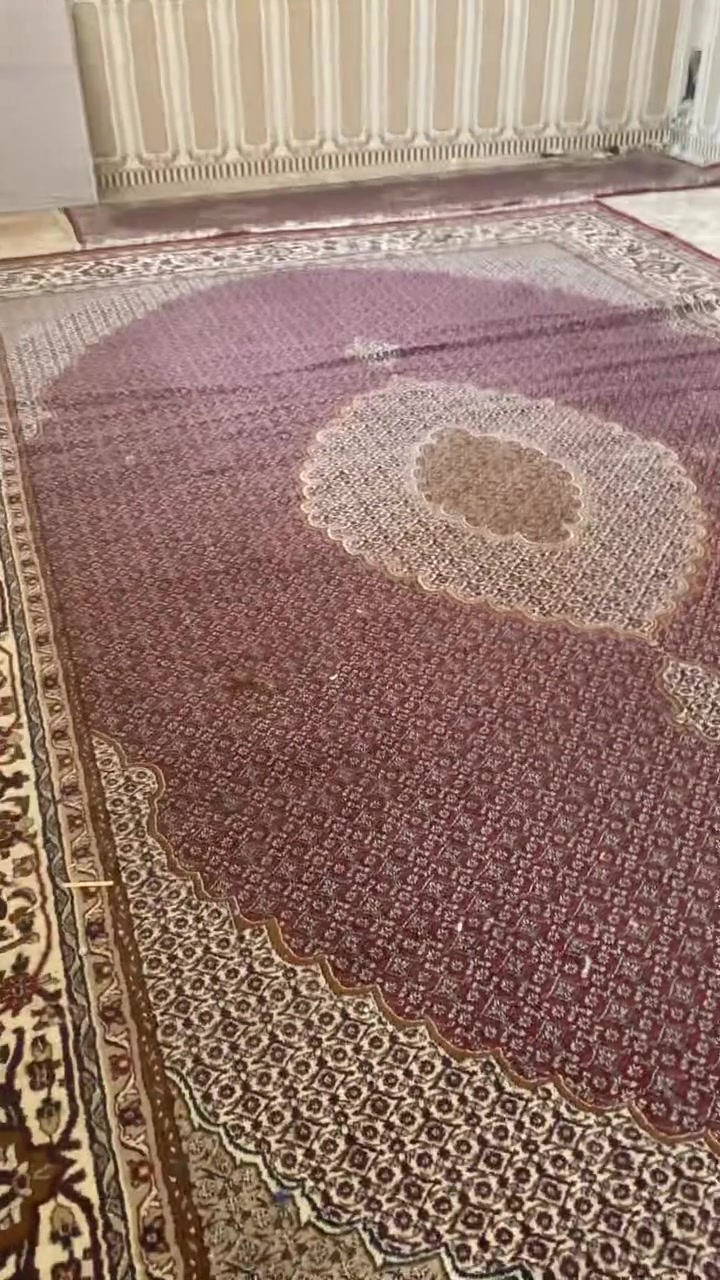 نجف • حي السلام • سجاد