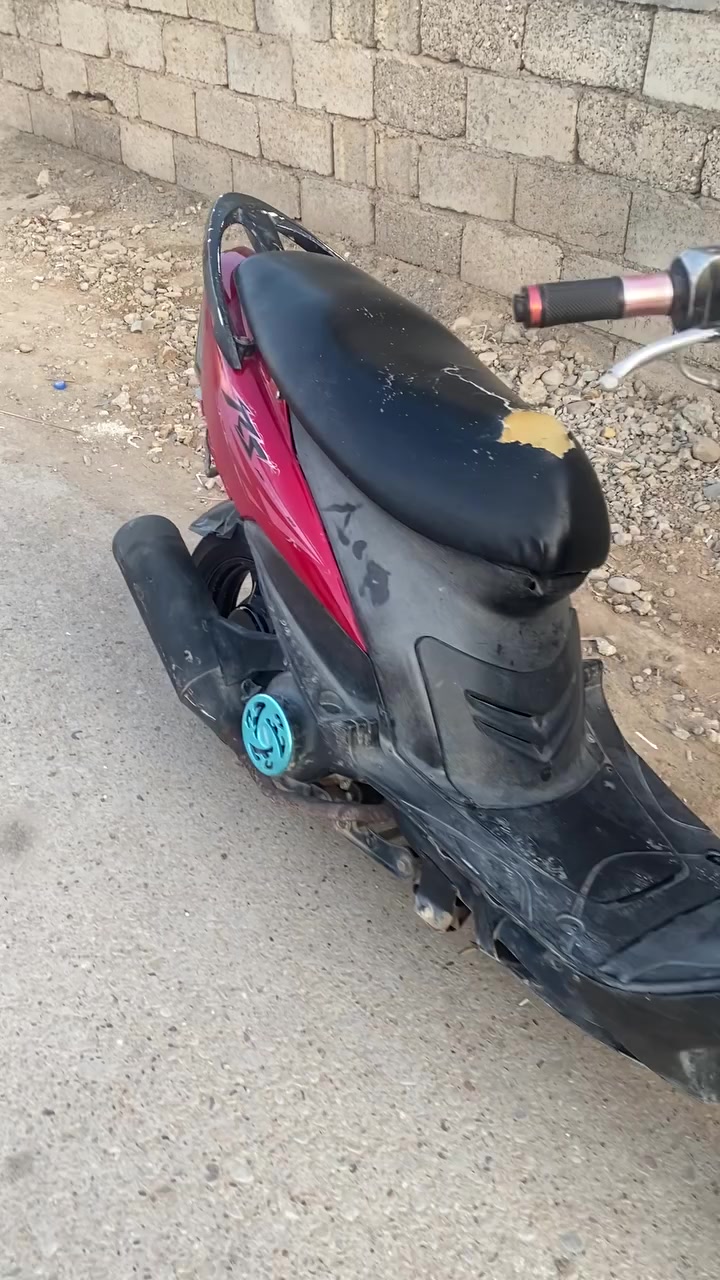 ماكس عدلة • بوشة ٥٥ • جديدة الشط