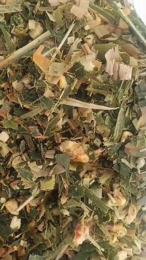 تم تجهيز طلبيات سيلاج الذرة عالي
الجودة للاخوانا في محافظاتنا العراقيه لهذا اليوم بتاريخ3/10/2026 🌾
​تعلن [مكتب وادارة ابو سجاد ] عن توفر سيلاج ذرة ممتاز بأعلى المواصفات والقيم الغذائية، بنسبة حبوب عالية  الجودة والنظافة لفترات طويلة. يساهم منتجنا بشكل مباشر في زيادة إنتاج الحليب واللحم مع توفير ممتاز في تكاليف الأعلاف. نوفر كميات جملة ومفرد بموازين دقيقة مع خدمة التوصيل والتحميل المباشر إلى جميع المحافظات  لجميع المزارعين ومربي الحلال.
📞 للحجز والاستفسار: ***********
***********

