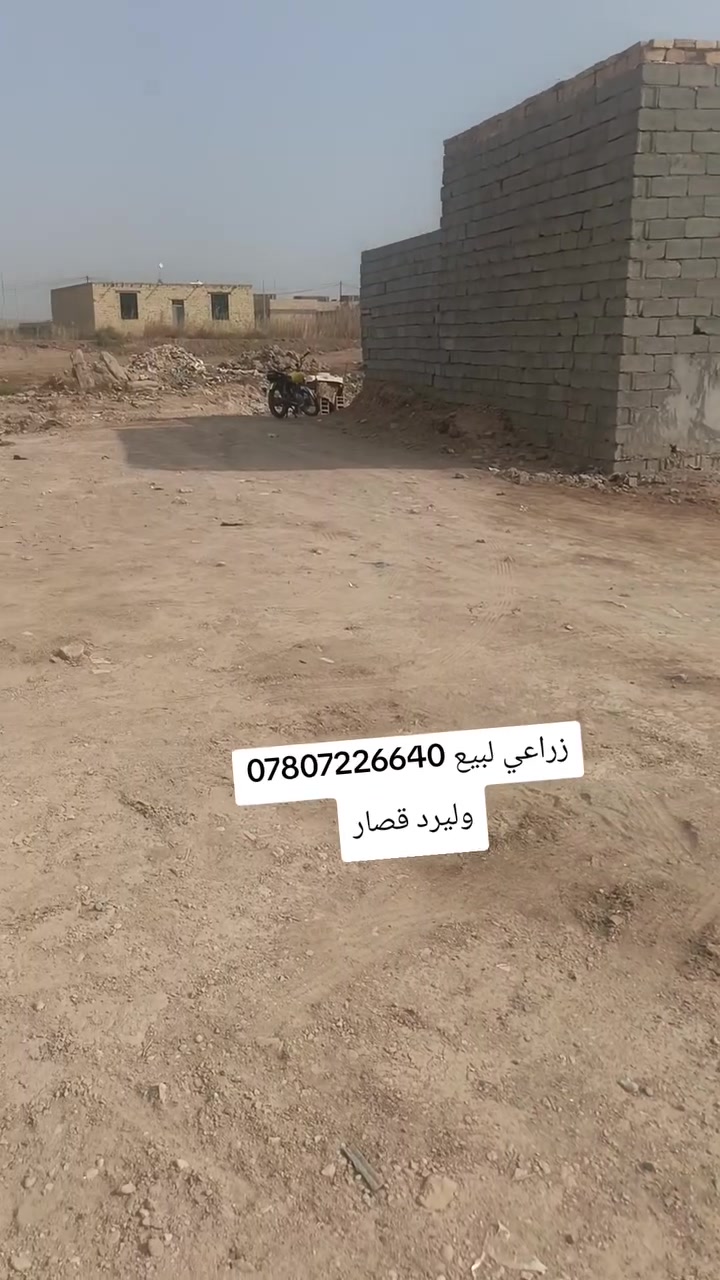 وليرد قصار • أرض • بدون تفاصيل