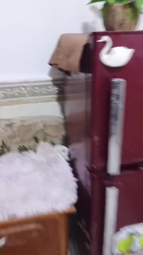 ثلاجة • أجهزة منزلية