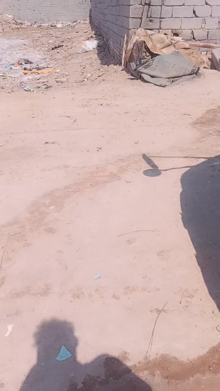 كيا • رائعة • شطره