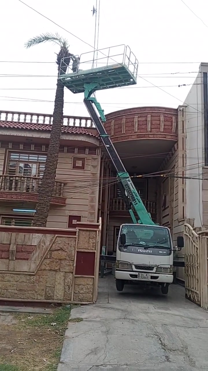 باسكت للإيجار • تأجير