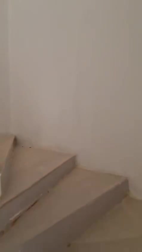 .. للايجار. بيت طابق ثاني زيرو درج معزول غرفتين ماستر صاله هول استقبال مطبخ صحيات داخليه خارجيه..الرماديالزراعة خلف محطة الامن الايجار 500
***********
***********
