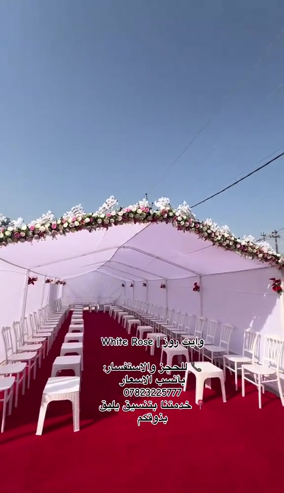 عرض خاص تحطيم الاسعار إلى أهالي بابل 150 الف
چادر خطوبه ابيض الطول 14 متر +كاربد احمر +100 كرسي قابل للزياده +50 طبله +بورد ترحيب اذا مو مثل الي بالتصوير لاتدفع فلوس نضافه 100

للتواصل والاستفسار على الرقم أو واتساب:
***********
