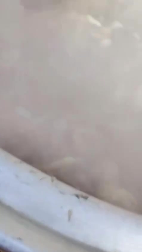 يوجد طباخ لجميع المناسبات اعراس عزايم وايضاً فواتح مبدع في جميع الأكلات هذا رقمه الي يحب يتواصل وياه ***********
