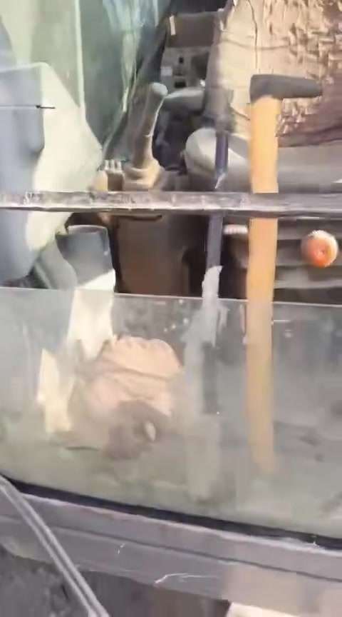 للبيع سويه
‭***********‬
