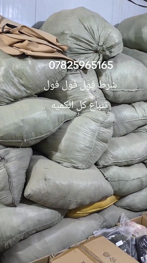 الحله • فول • تباع كل الكميه