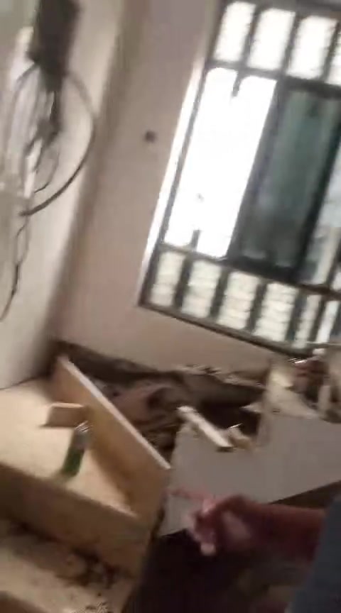 تطبيق سيراميك • كاشي • بغداد حمودي