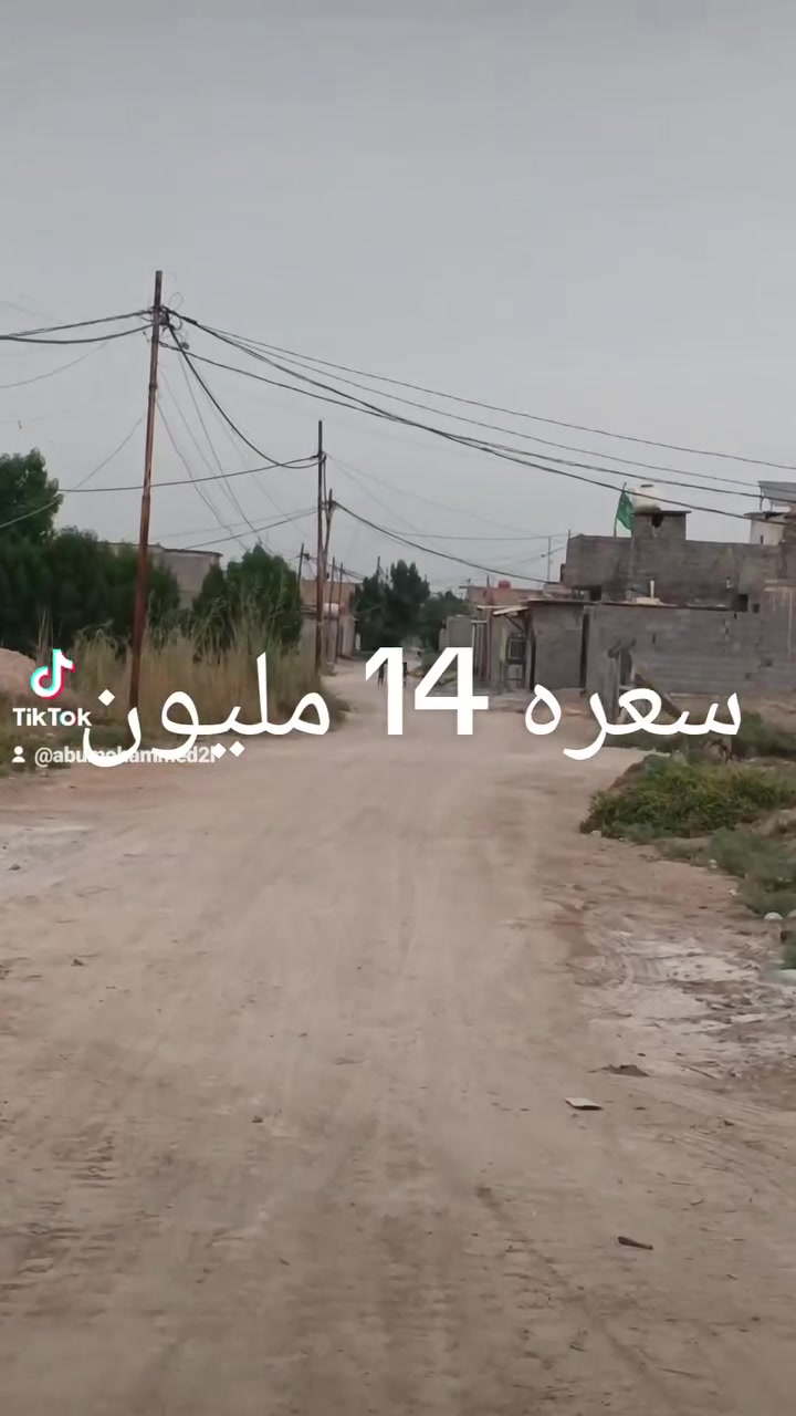 الرشيده • طابو زراعي • ١٠٠م
