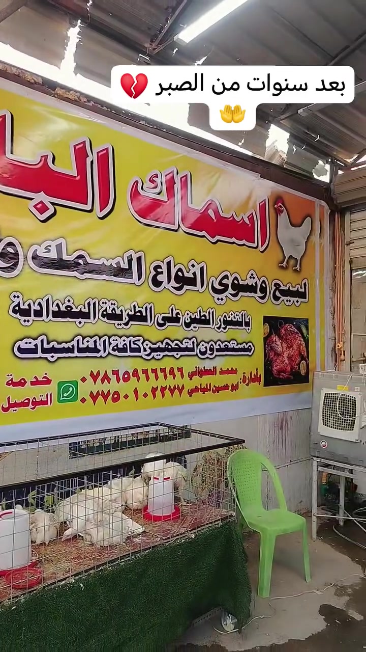 🔴تم ولله الحمد افتتاح علوة اسماك البلام 
لبيع وشوي جميع انواع الاسماك
 والدجاج على الفحم وبالتنور الطين 😋

🔴سعر كيلو السمك 5الاف 🤯
والدجاج بفلس ونص 
عنوانا الشعب شارع عدن قرب اسواق المدينة 

يتوفر توصيل جميع مناطق بغداد 

رقم الهاتف ***********
